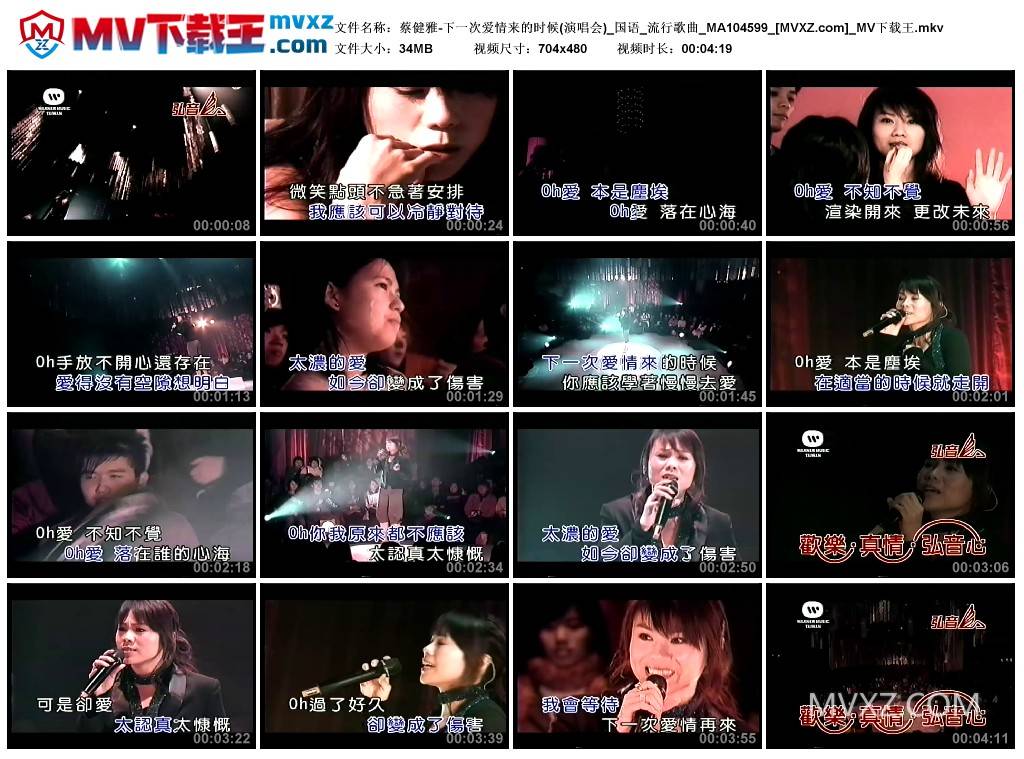 蔡健雅-下一次爱情来的时候(演唱会)_国语_流行歌曲_MA104599